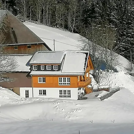 아파트 Muehlstein 보렌바크
