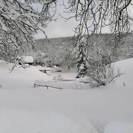 Muehlstein 아파트