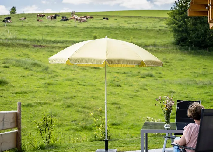 Muehlstein Apartment Vohrenbach